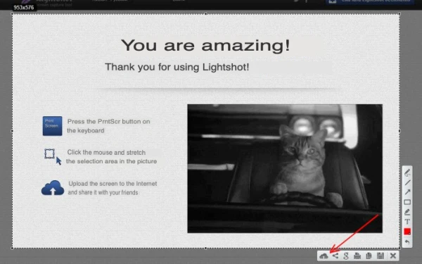 Earnings on the Internet - 17