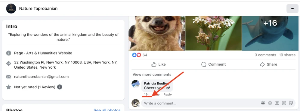 Facebook: boosting likes and emotions - 3