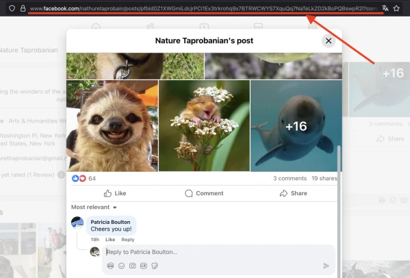 Facebook: boosting likes and emotions - 4