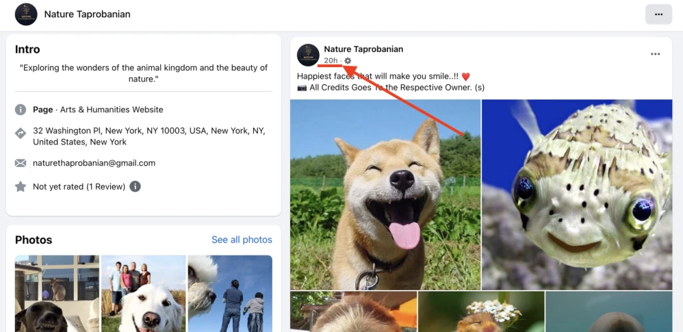 Facebook: boosting likes and emotions - 2