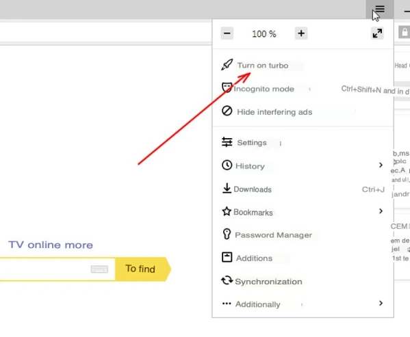 Earnings on the Internet - 28