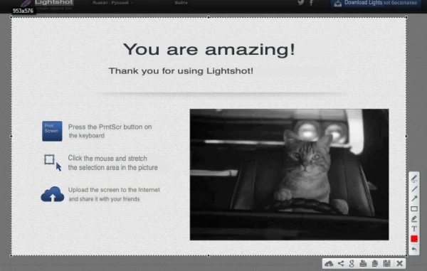 Earnings on the Internet - 16